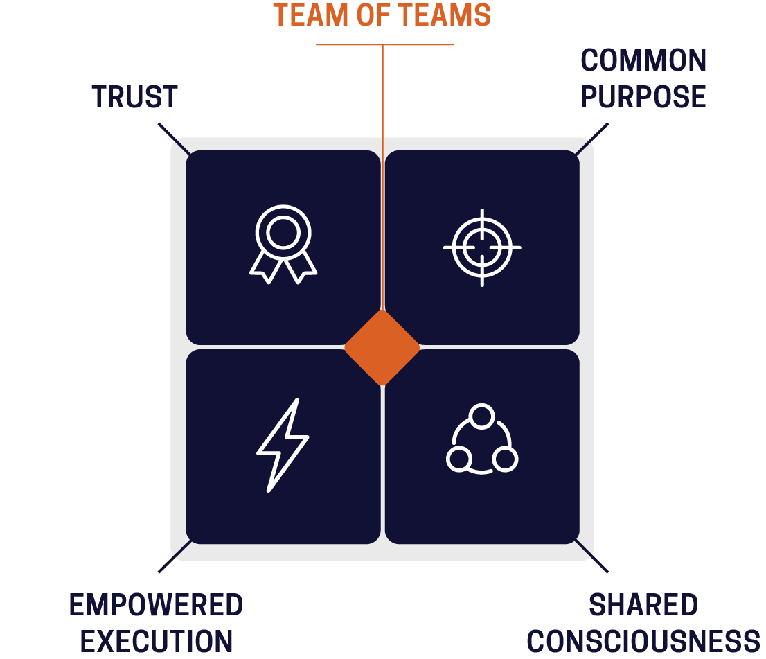 Team of Teams Model